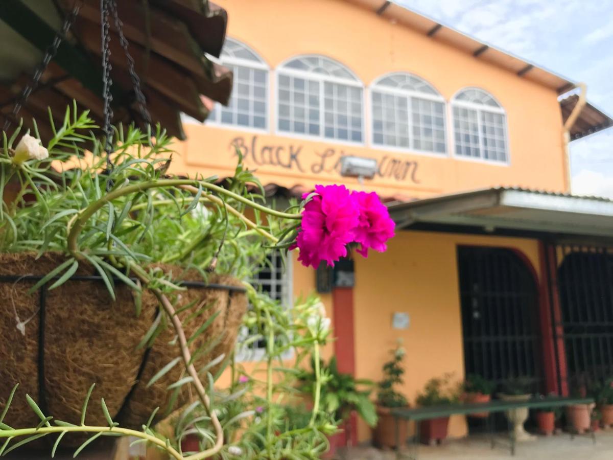 Black Lion Inn 圣地亚哥 外观 照片